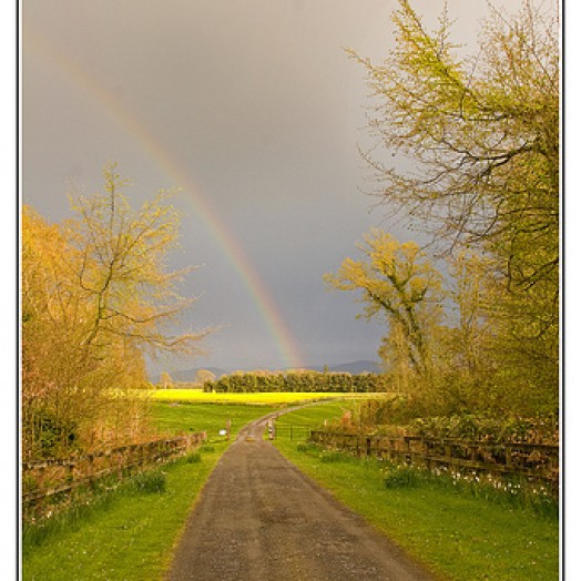 A beautiful walk in Ireland